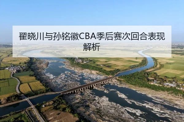 翟晓川与孙铭徽CBA季后赛次回合表现解析